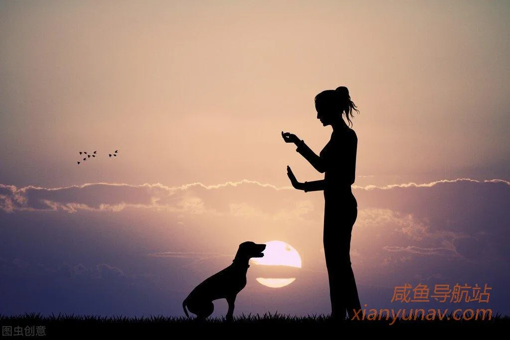 零成本月入10000元的搬运赚钱项目,操作简单,三分钟就可以学会