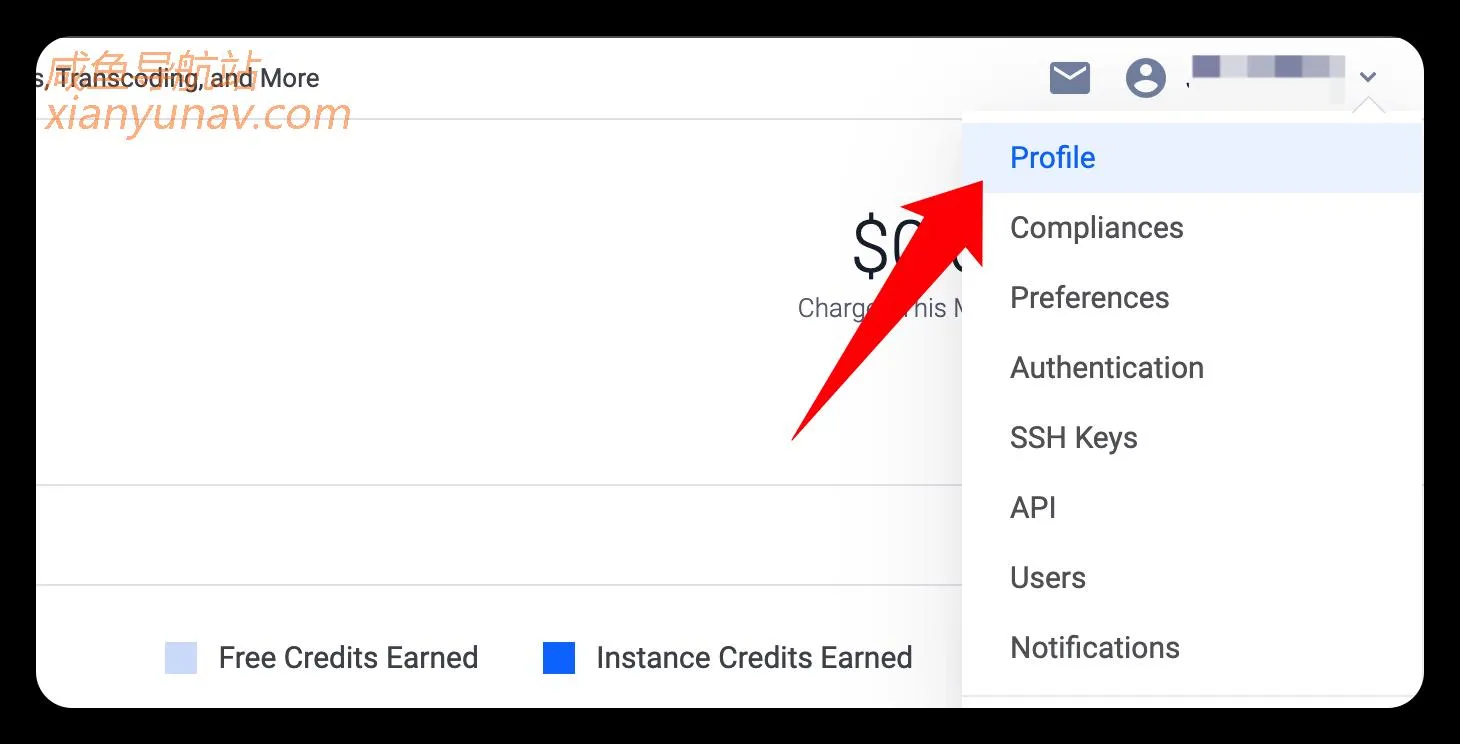 Vultr 推出免费服务器计划，可以用于个人博客，申请到就是赚到！