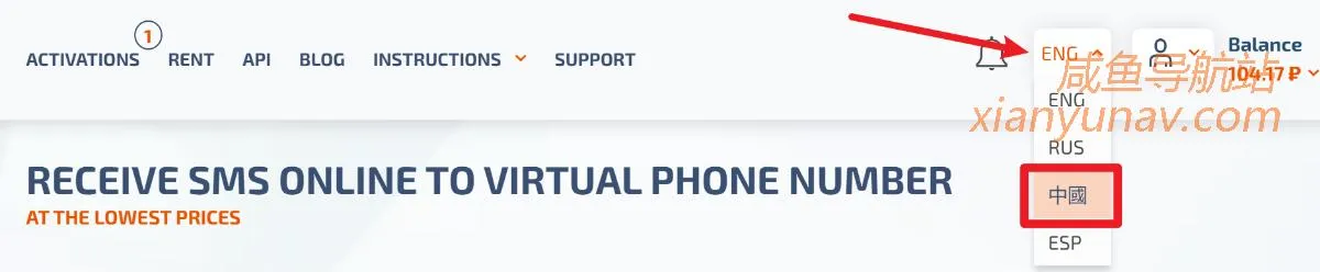 短信语音接码,可能是全球最大的平台 - SMS Activate