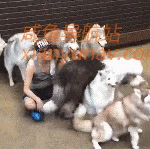 闲鱼上卖的东西,真的只有你想不到,或许可以激发你的脑洞!