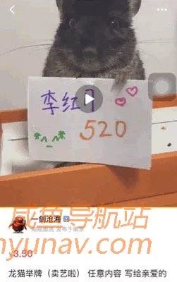 闲鱼上卖的东西，真的只有你想不到，或许可以激发你的脑洞！