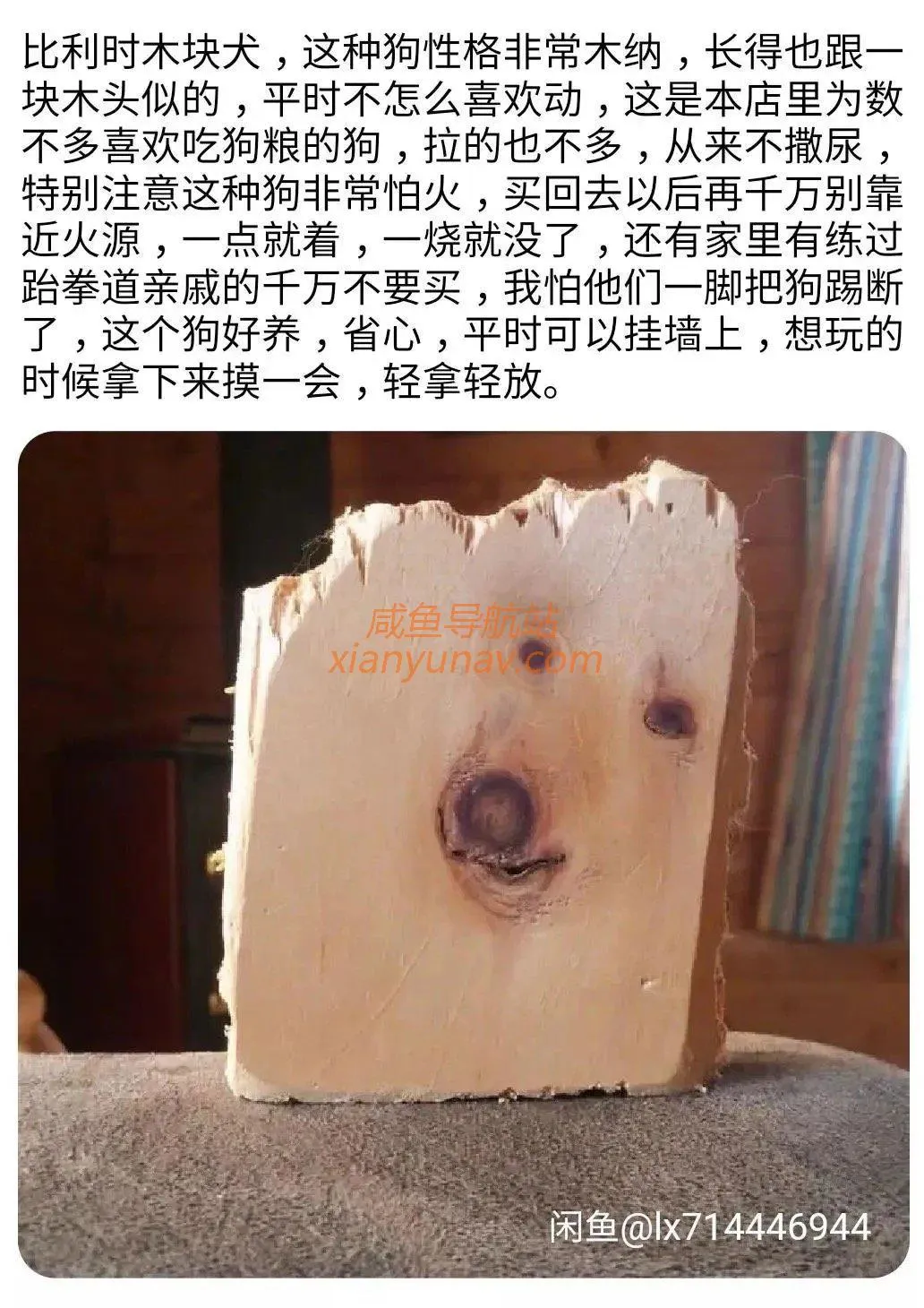 闲鱼上卖的东西，真的只有你想不到，或许可以激发你的脑洞！