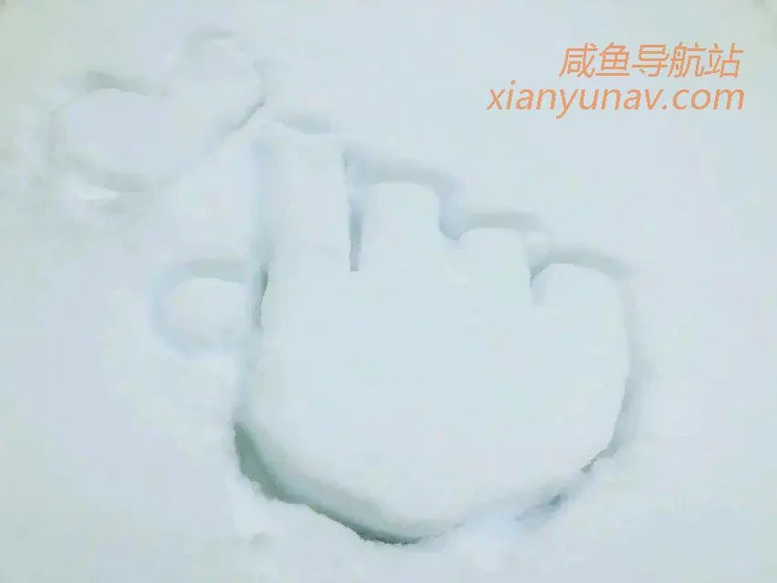 闲鱼奇葩商品:发几条文字和表情,一天就能赚上百块