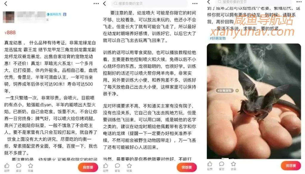闲鱼奇葩商品:发几条文字和表情,一天就能赚上百块
