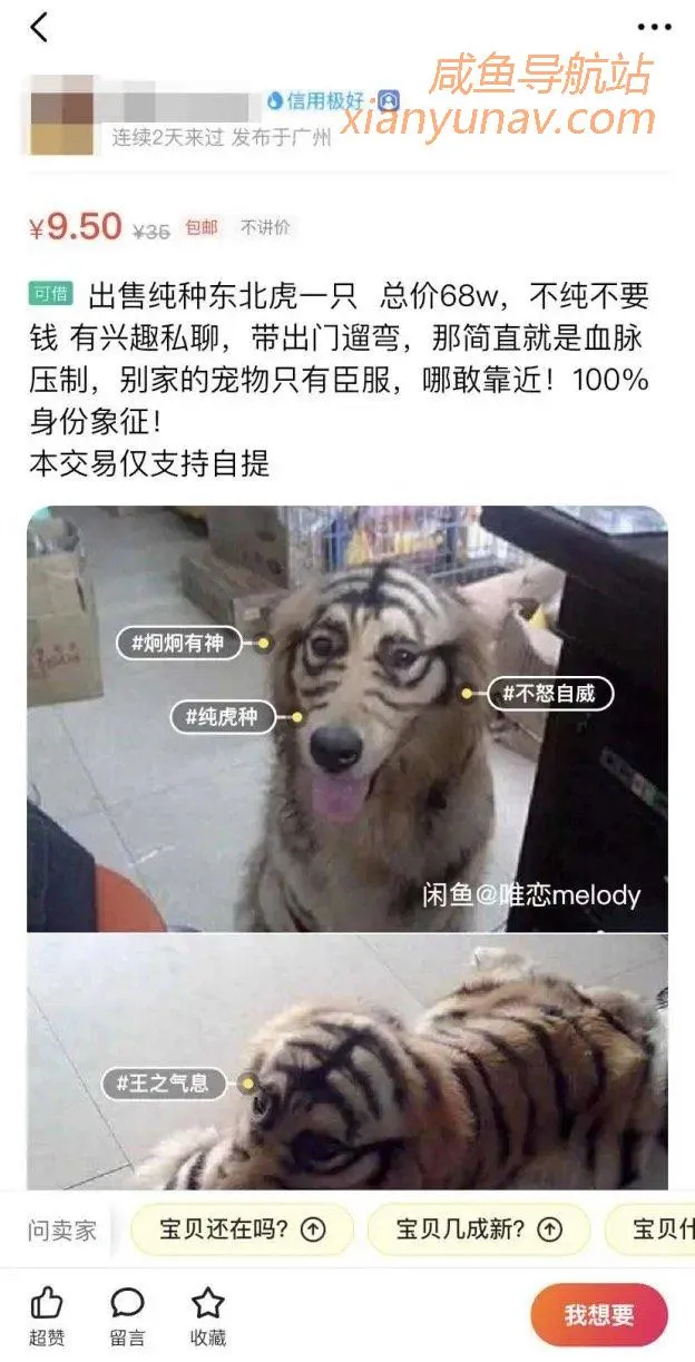 闲鱼奇葩商品:发几条文字和表情,一天就能赚上百块