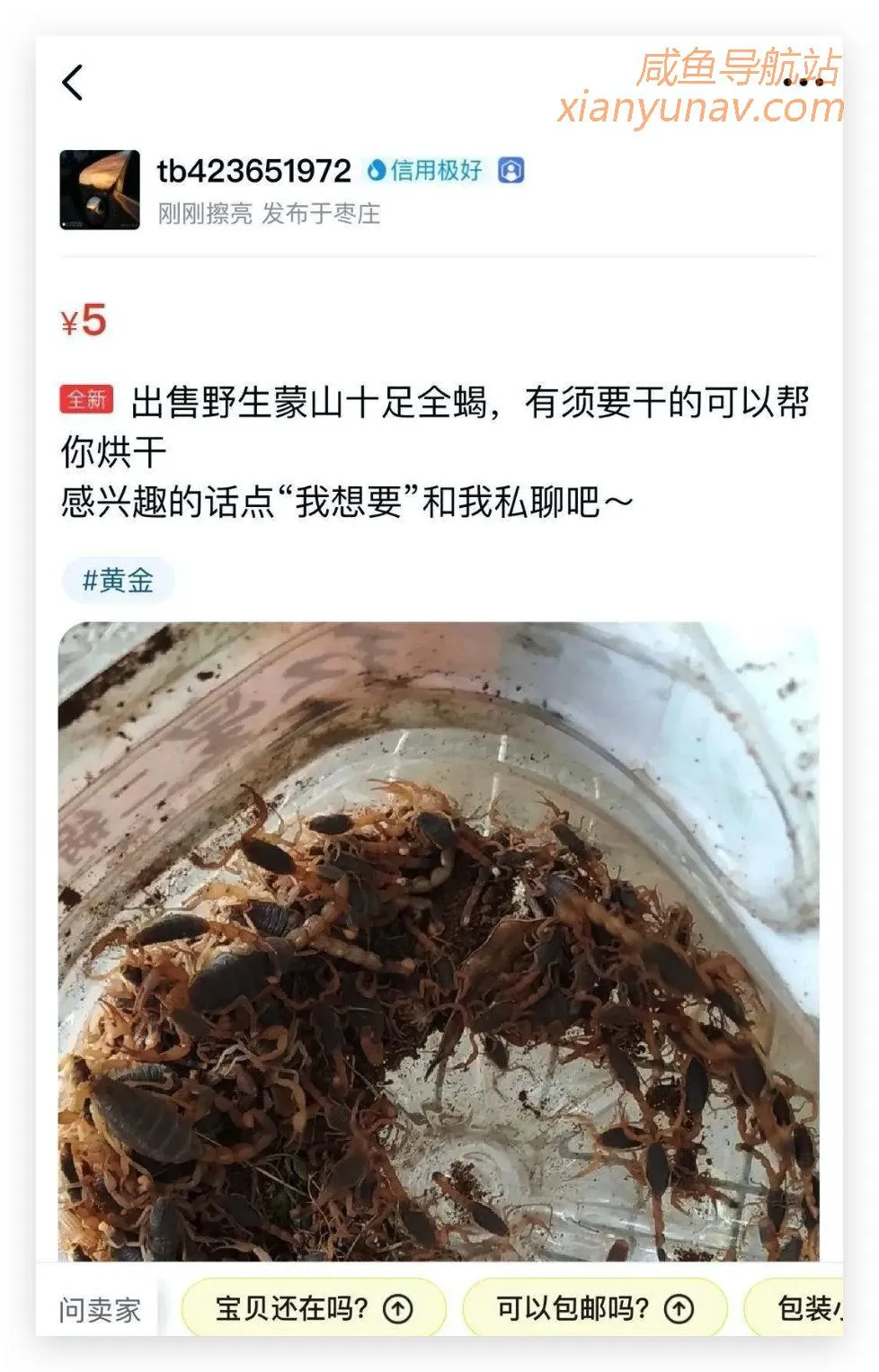 闲鱼百日专项行动开展10天，却依旧有人售卖野生动物，谋求暴利