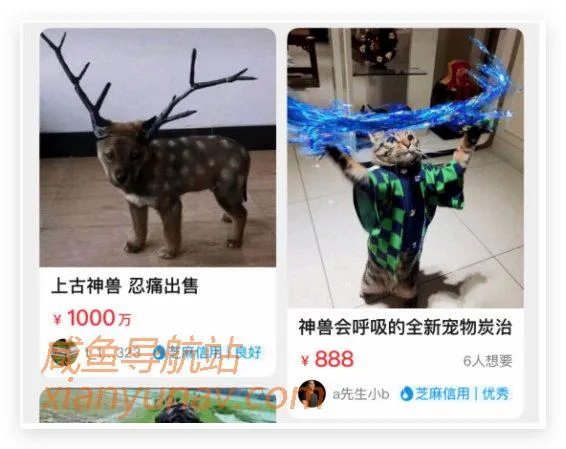 HR招人有多野?在闲鱼内推、卖试题、改简历,一份题库卖99!