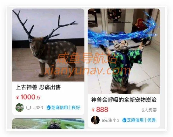 HR招人有多野?在闲鱼内推、卖试题、改简历,一份题库卖99!