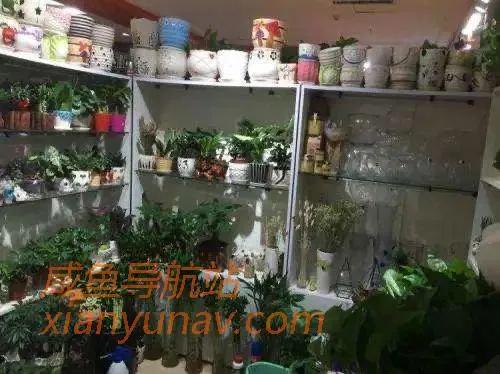 没钱能创业吗?5个暴利小项目,不到1万本钱当老板!