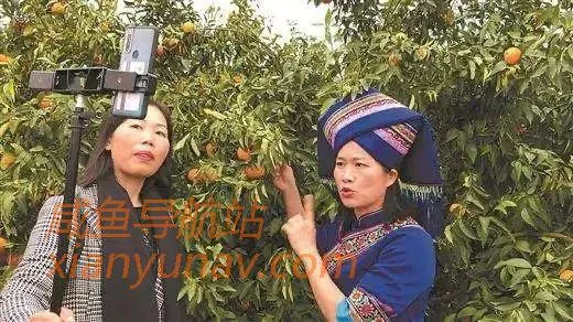 这3个项目正在农村兴起，好好做年入几十万很轻松