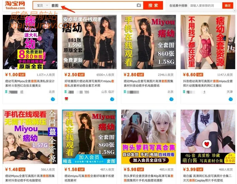 可灰可黑,月入过万的小项目