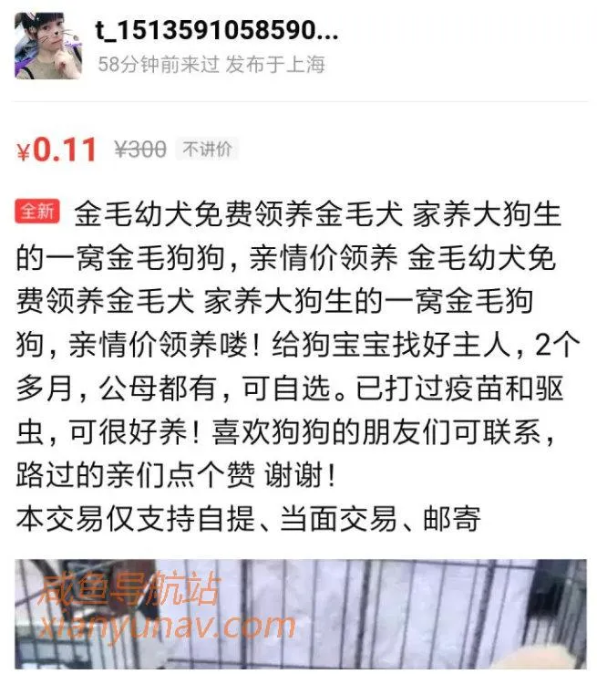 闲鱼买宠物骗局,一分钱买宠物?哪有这么好的事!