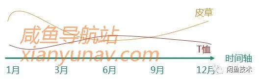 闲鱼商品理解专题系列|基于闲置市场品类决策属性的供需挖掘