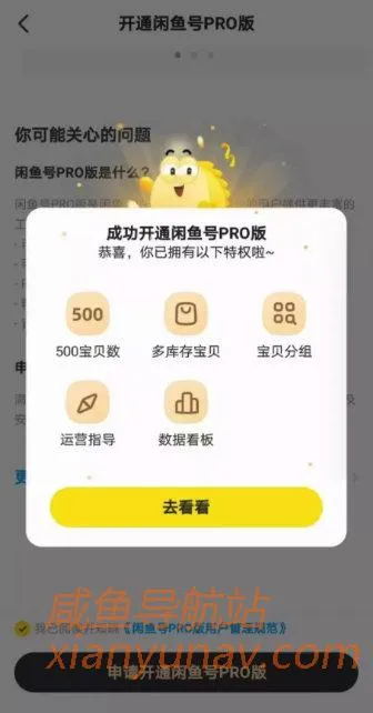 闲鱼Pro版来了,垂直类玩家将会越来越好!