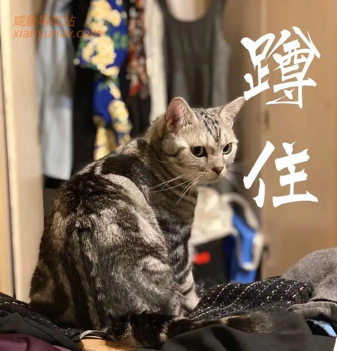 闲鱼真的是宝藏,我愿称之为最强货源!