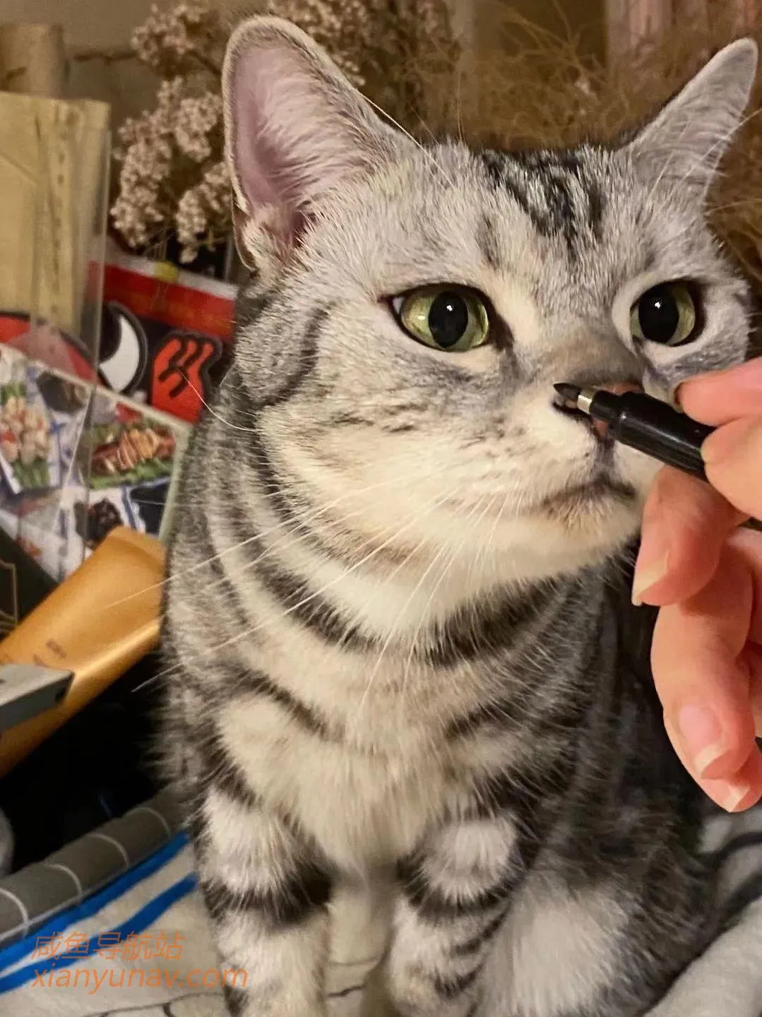 闲鱼真的是宝藏,我愿称之为最强货源!