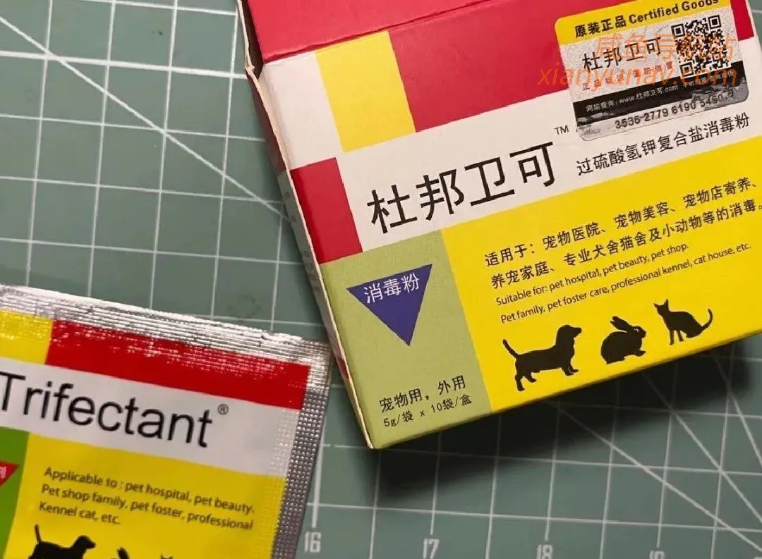 闲鱼真的是宝藏,我愿称之为最强货源!