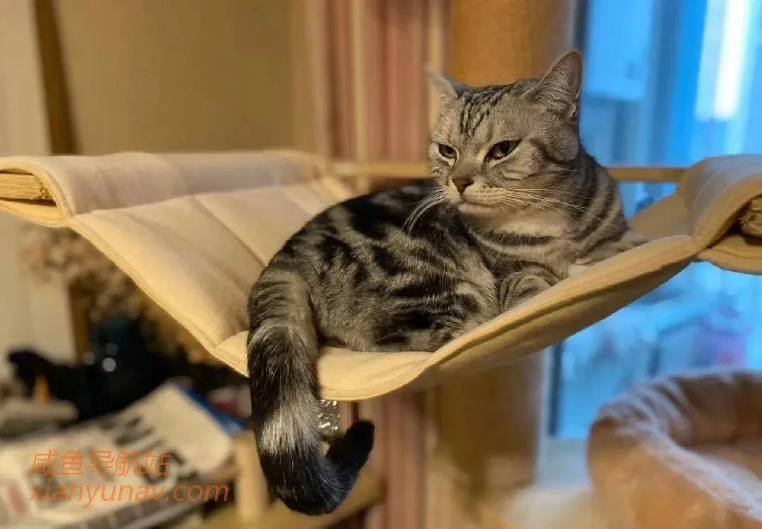 闲鱼真的是宝藏,我愿称之为最强货源!