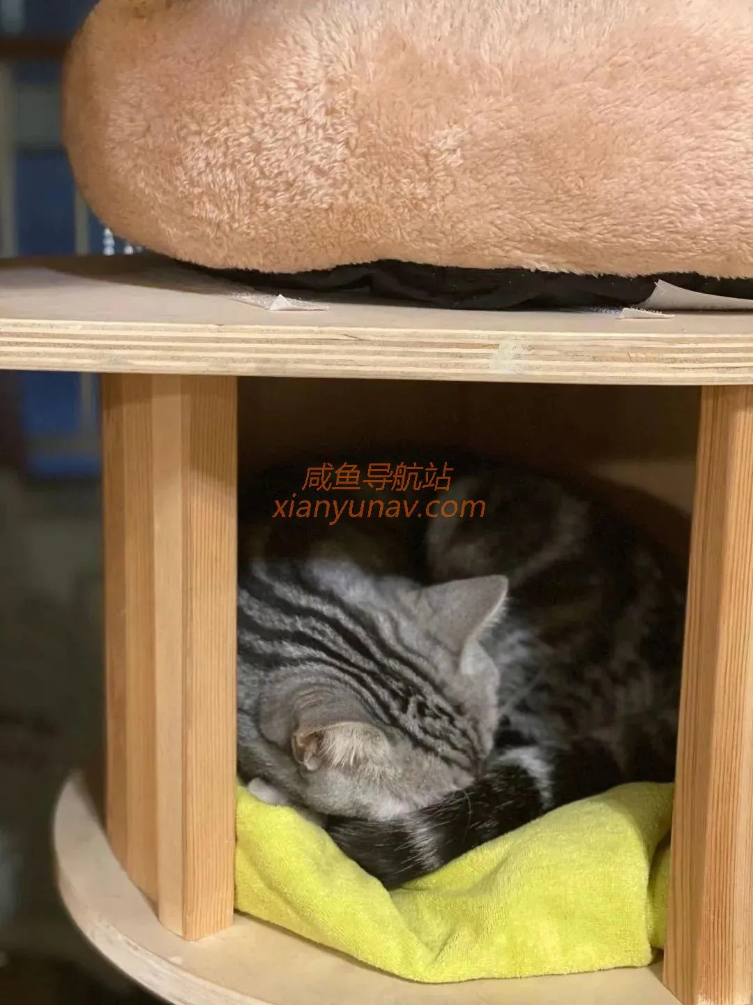 闲鱼真的是宝藏,我愿称之为最强货源!