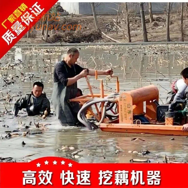 农村日赚300+工作，没文化也能做