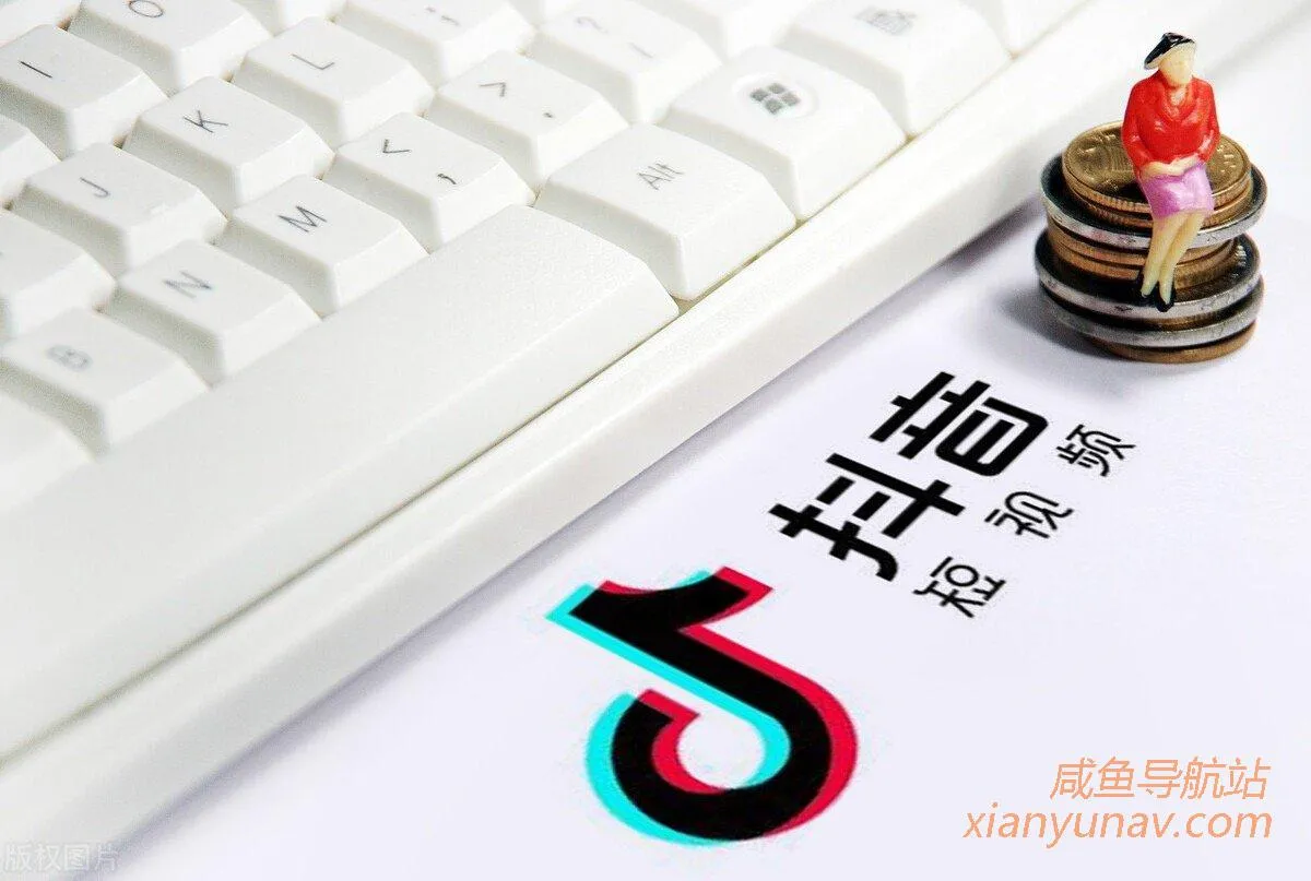 抖音年赚100万的搬运赚钱项目,我来教你如何通过抖音引流赚到100万