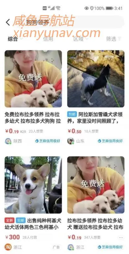 闲鱼引流，微信成交的绝对暴利项目！批量操作年入30+！