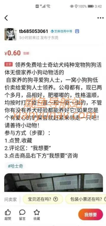 闲鱼引流，微信成交的绝对暴利项目！批量操作年入30+！