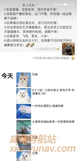 闲鱼引流，微信成交的绝对暴利项目！批量操作年入30+！