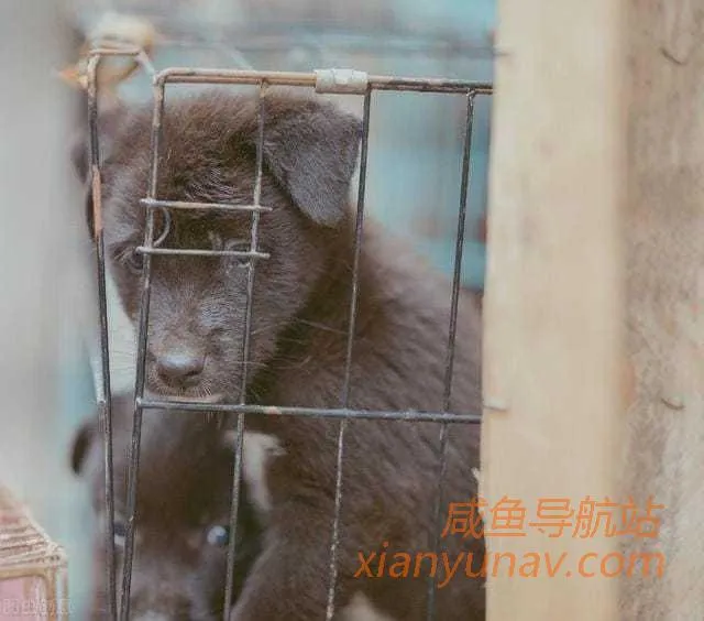 「反思」在闲鱼卖出10件闲置物品后,我觉得自己好像不太适合经商