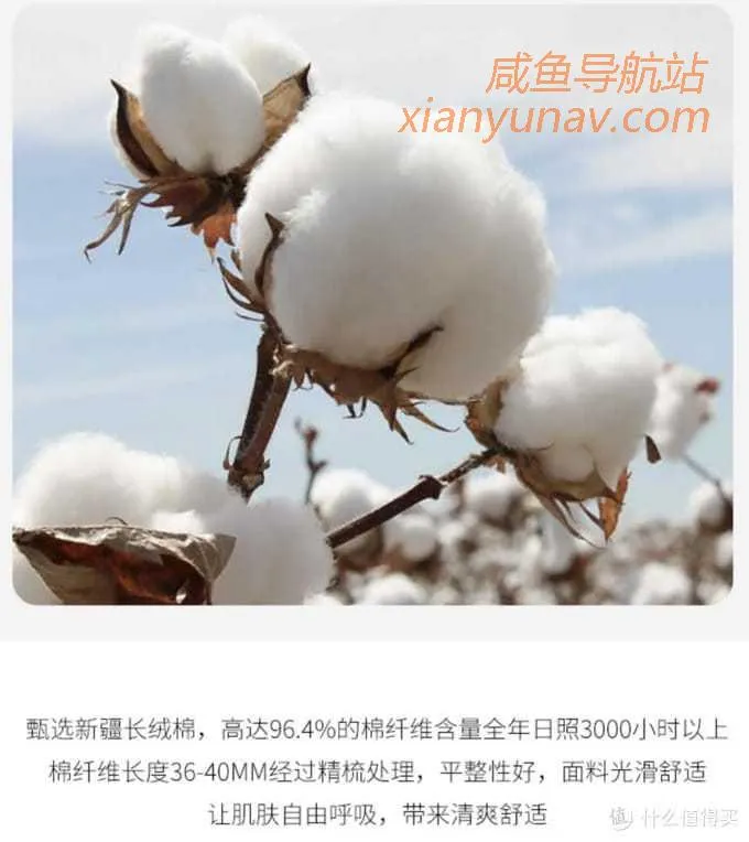 1688新疆棉全攻略！顶级毛巾品牌代工、五星级酒店供货商！这9家供货商值得拥有！