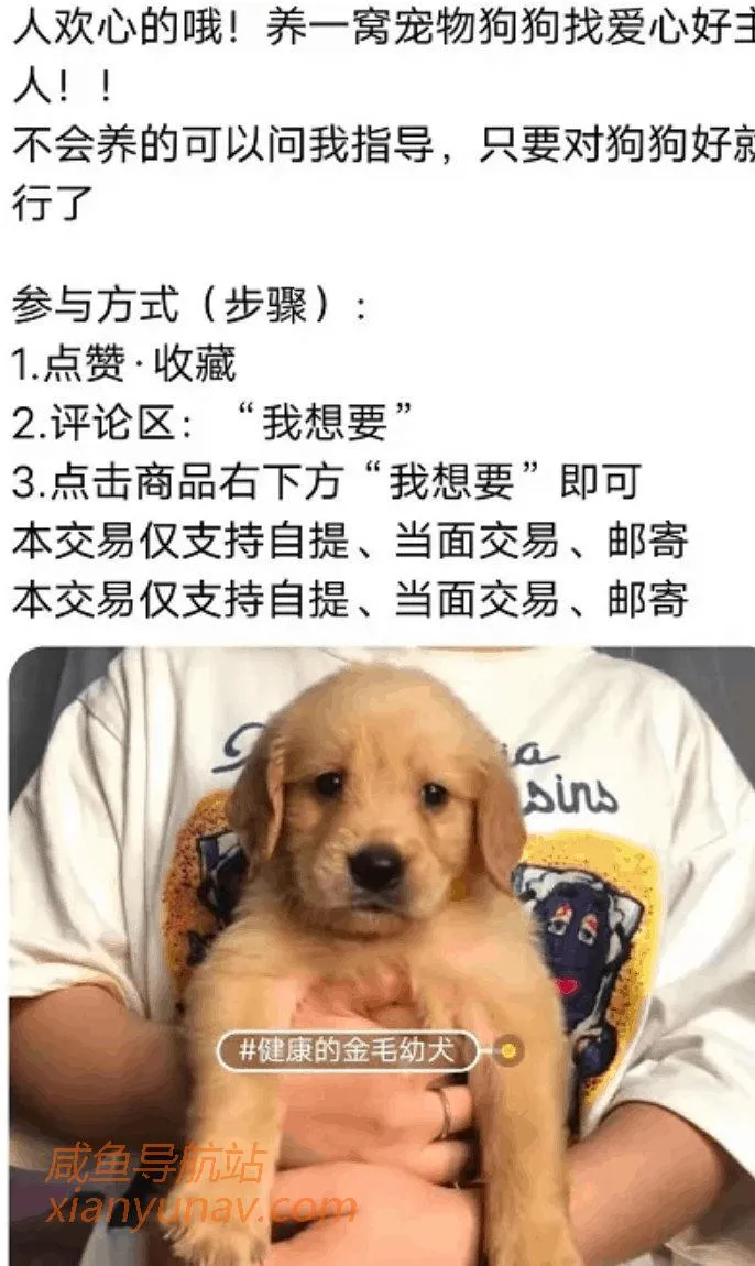 影响闲鱼的曝光的5大因素，一个个讲清楚，不要再问了！