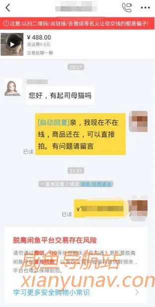 闲鱼引流宠物粉卖阿猫阿狗一单利润1000+，你干不干？
