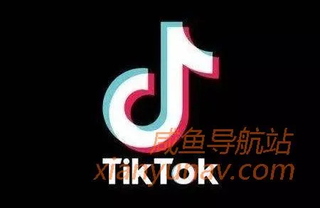 今年最火项目tiktok解读