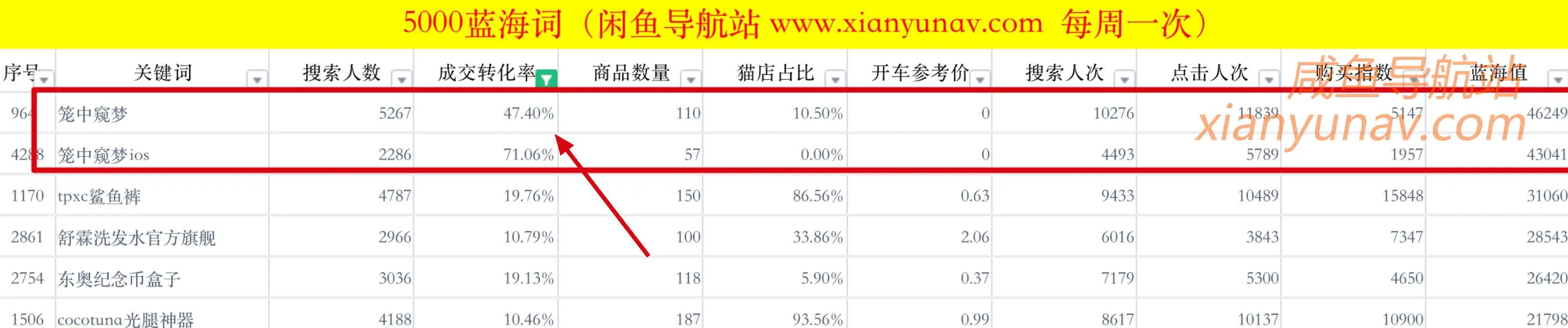 「2021.11.22 蓝海词」无本生意,从虚拟开始,蓝海常有!