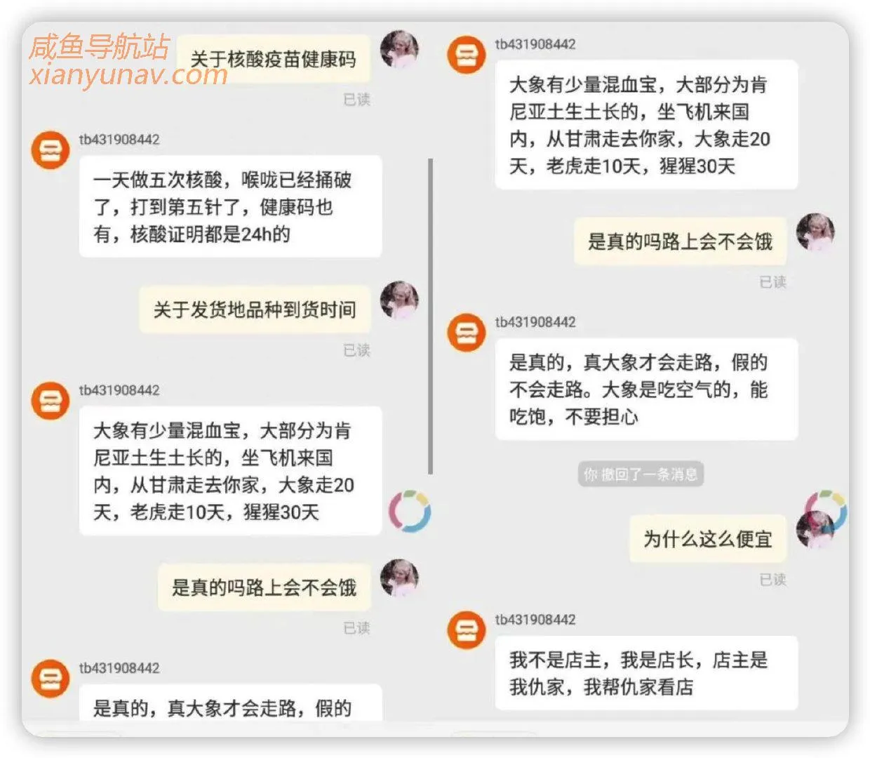 「2022.03.07 蓝海词」野生大象自己走过去!发现一个好玩的风口!