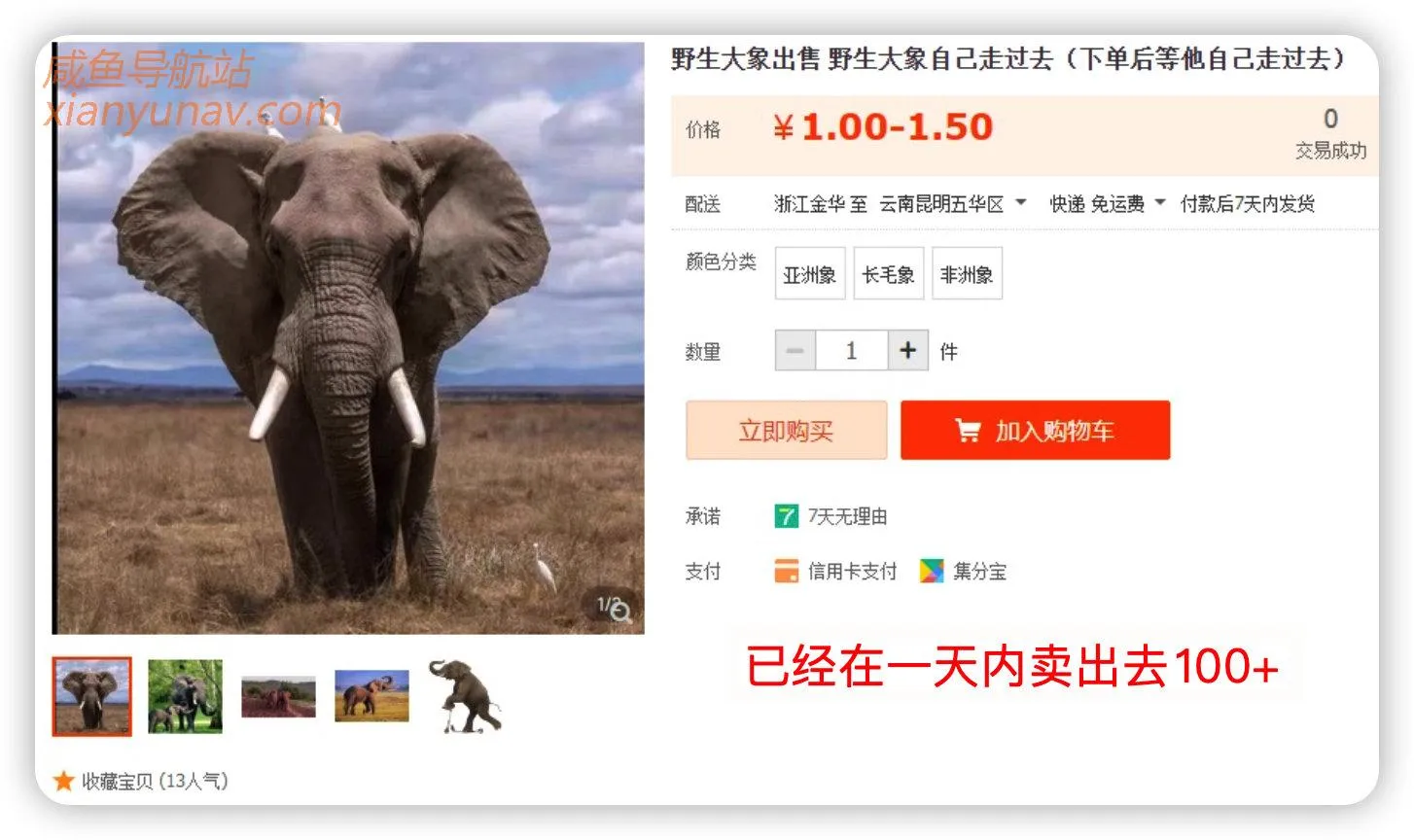 「2022.03.07 蓝海词」野生大象自己走过去!发现一个好玩的风口!